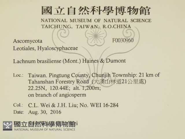登錄號:F0030960藏品圖，第2張