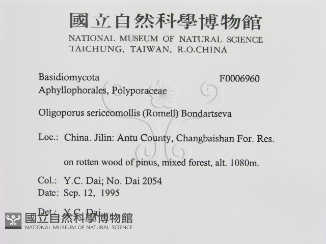 登錄號:F0006960藏品圖，第2張