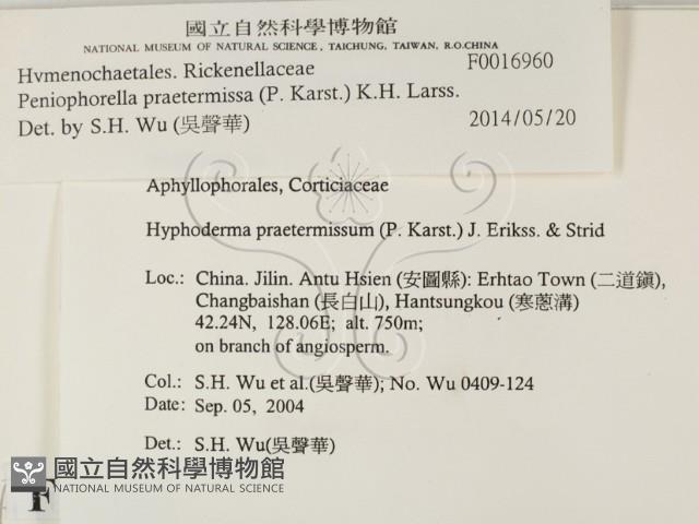 登錄號:F0016960藏品圖，第2張