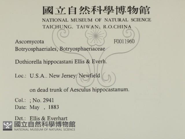 登錄號:F0011960藏品圖，第2張