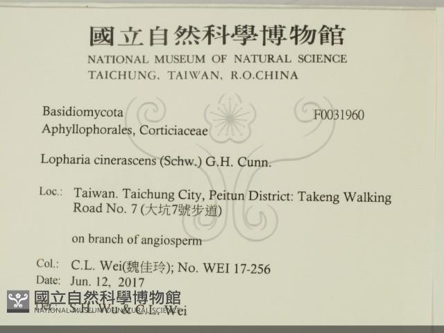 登錄號:F0031960藏品圖，第2張