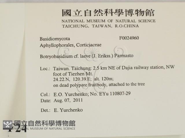 登錄號:F0024960藏品圖，第2張