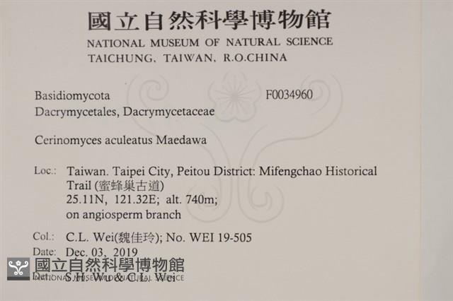 登錄號:F0034960藏品圖，第2張