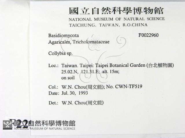 登錄號:F0022960藏品圖，第2張