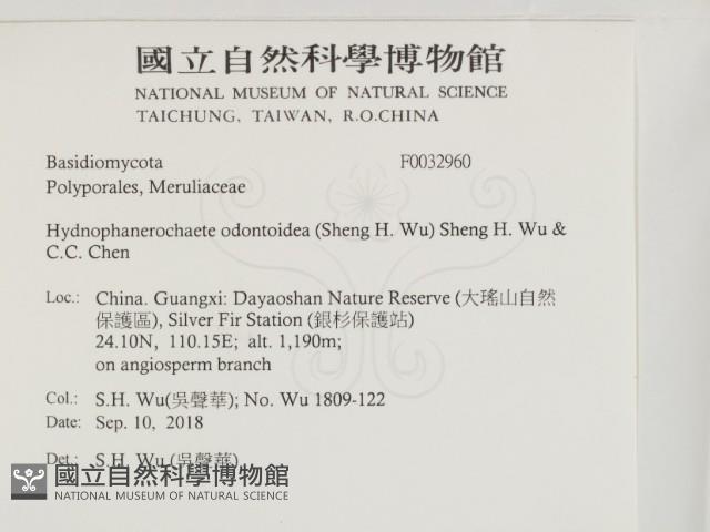 登錄號:F0032960藏品圖，第2張