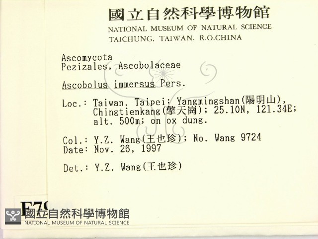 登錄號:F0007960藏品圖，第2張