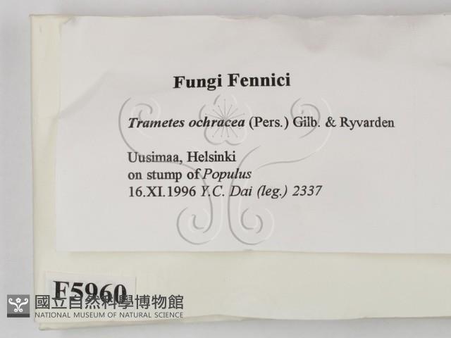 登錄號:F0005960藏品圖，第2張