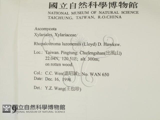 登錄號:F0009960藏品圖，第2張