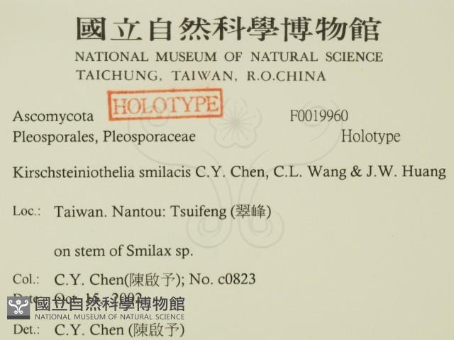 登錄號:F0019960藏品圖，第2張