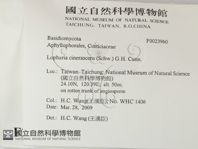 登錄號:F0023960藏品圖，第2張