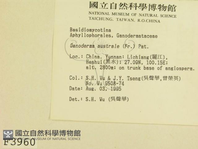 登錄號:F0003960藏品圖，第2張