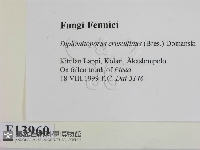 登錄號:F0013960藏品圖，第2張