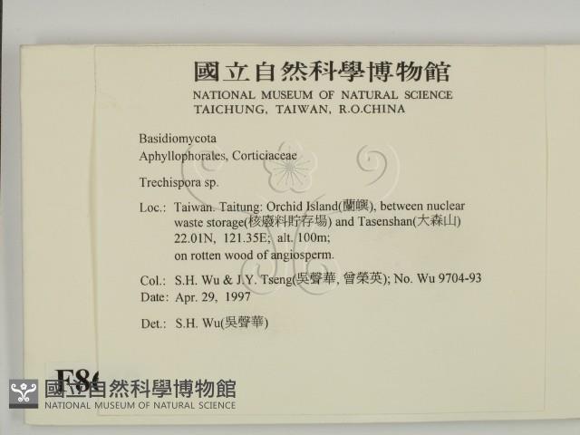 登錄號:F0008660藏品圖，第2張