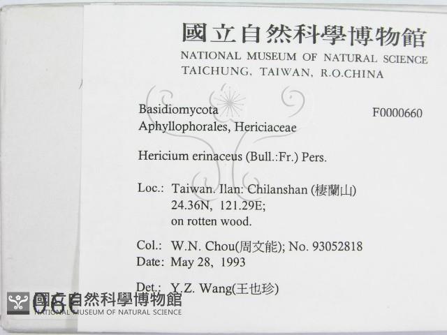登錄號:F0000660藏品圖，第2張