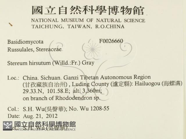 登錄號:F0026660藏品圖，第2張