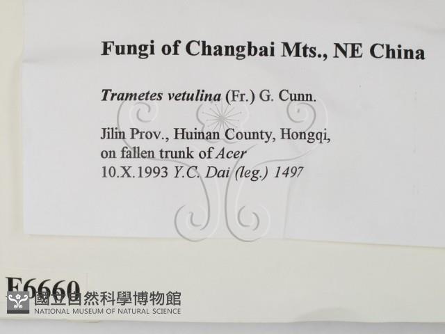 登錄號:F0006660藏品圖，第2張