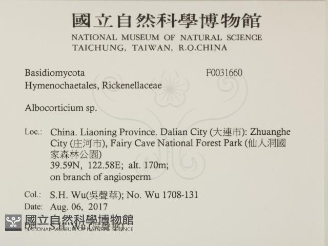 登錄號:F0031660藏品圖，第2張