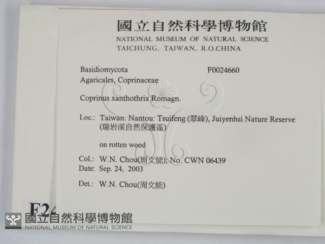 登錄號:F0024660藏品圖，第2張
