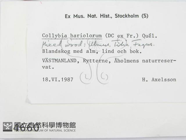 登錄號:F0004660藏品圖，第2張