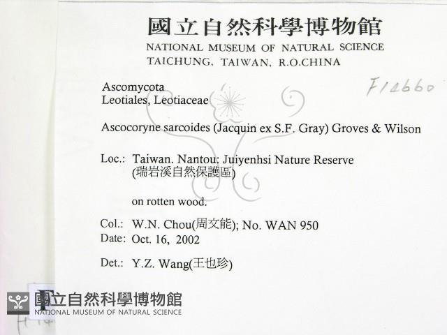 登錄號:F0014660藏品圖，第2張