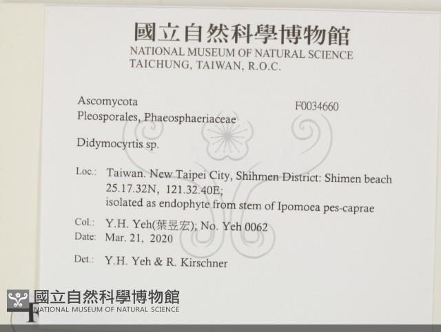 登錄號:F0034660藏品圖，第2張