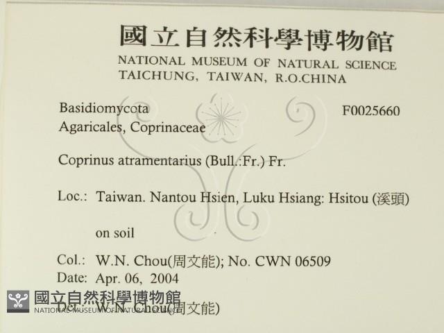 登錄號:F0025660藏品圖，第2張