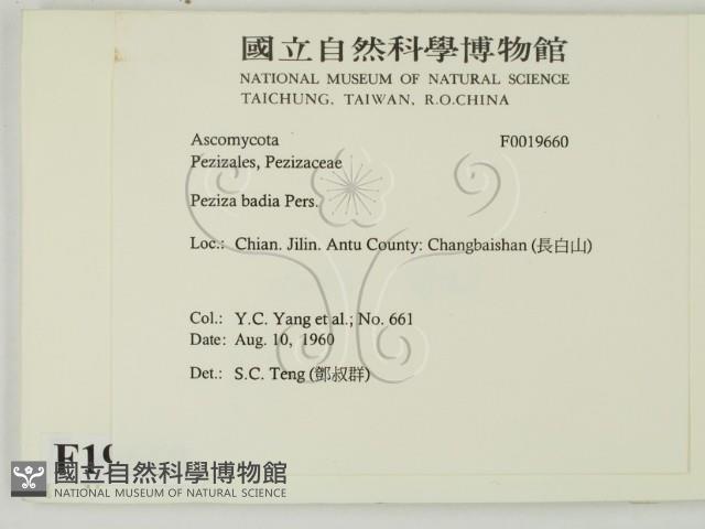 登錄號:F0019660藏品圖，第2張