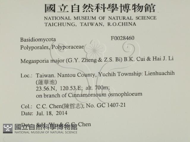 登錄號:F0028460藏品圖，第2張