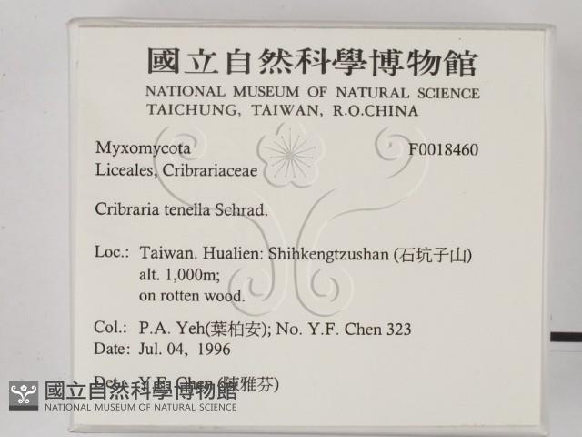 館號:F0018460藏品圖，第2張