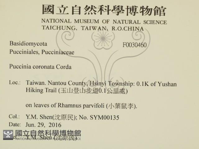 登錄號:F0030460藏品圖，第2張