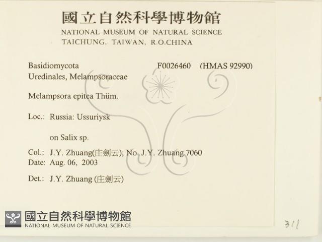 登錄號:F0026460藏品圖，第2張