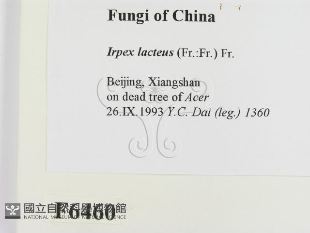 登錄號:F0006460藏品圖，第2張