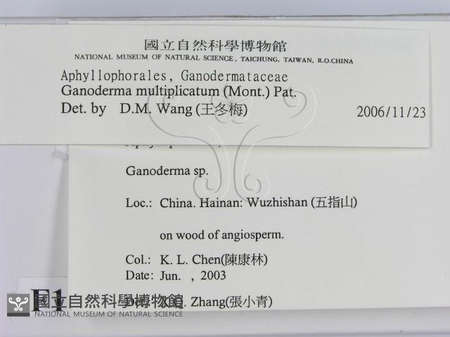 登錄號:F0016460藏品圖，第2張