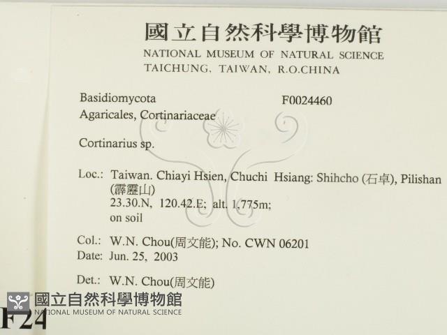 登錄號:F0024460藏品圖，第2張