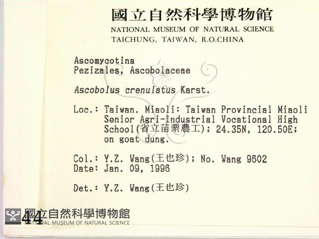 登錄號:F0004460藏品圖，第2張