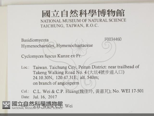 登錄號:F0034460藏品圖，第2張