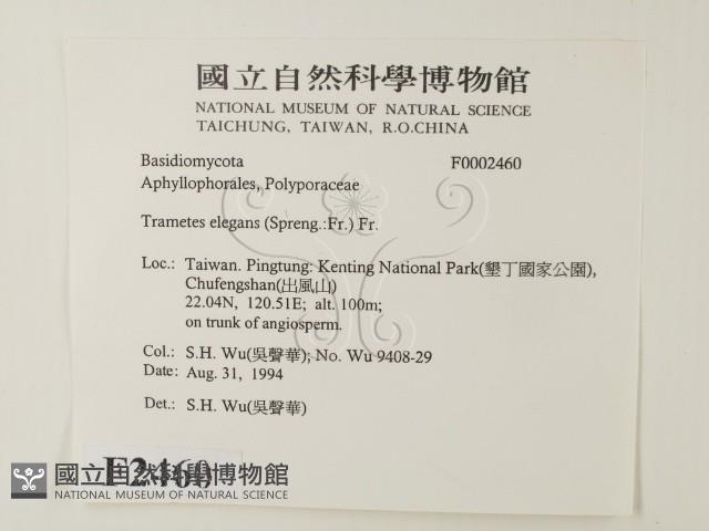 登錄號:F0002460藏品圖，第2張