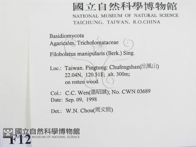登錄號:F0012460藏品圖，第2張