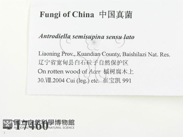 登錄號:F0017460藏品圖，第2張