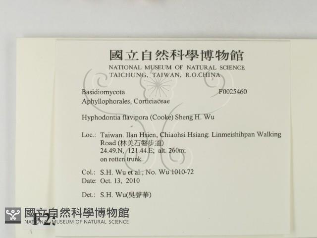登錄號:F0025460藏品圖，第2張