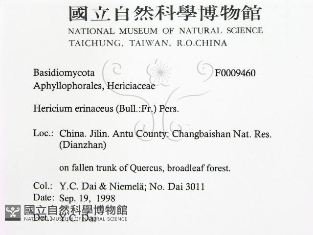 登錄號:F0009460藏品圖，第2張