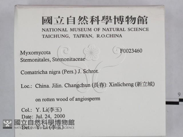 登錄號:F0023460藏品圖，第2張