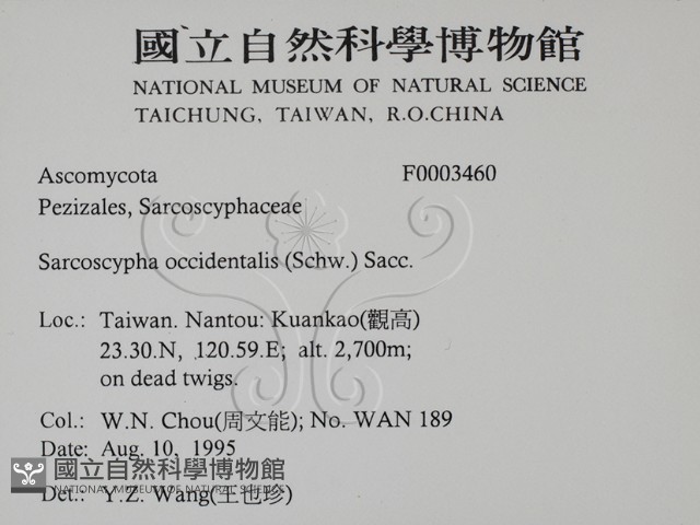 登錄號:F0003460藏品圖，第2張