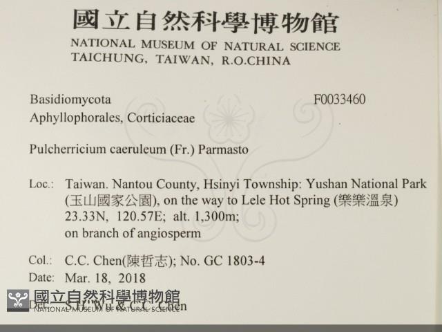 登錄號:F0033460藏品圖，第2張