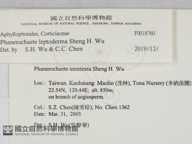 登錄號:F0018760藏品圖，第2張