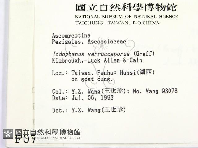 登錄號:F0000760藏品圖，第2張