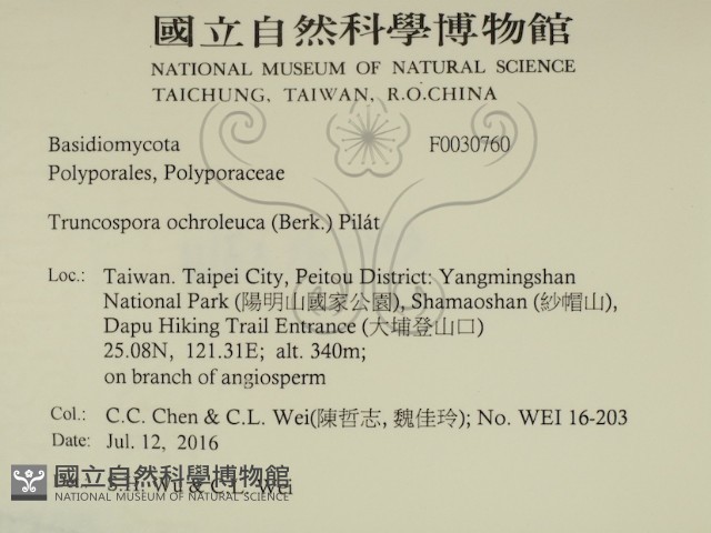 登錄號:F0030760藏品圖，第2張