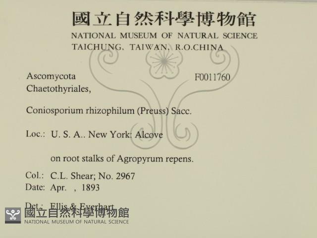 登錄號:F0011760藏品圖，第2張