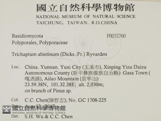 登錄號:F0032760藏品圖，第2張