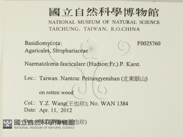 登錄號:F0025760藏品圖，第2張